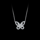 Eternal Butterfly
