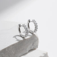 Subtle Elegance Earrings